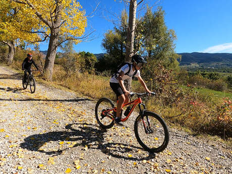 cross country mtb
